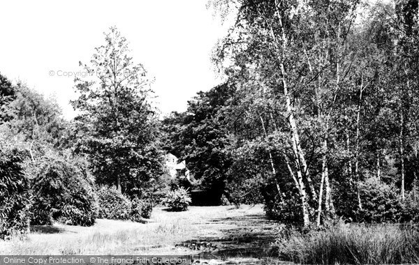 Photo of Woking, The Park c.1955