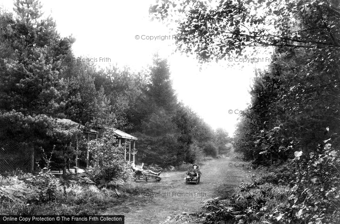 Photo of Wokingham, Green Walk, London Open Air Sanatorium 1910