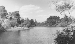Kingsmere Lake c.1965, Wokingham