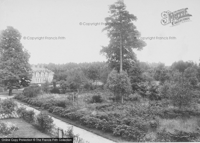 Photo of Wokingham, London Open Air Sanatorium, Pinewood 1910