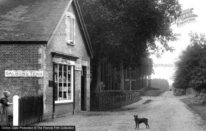 Photo of Wokingham, Nine Mile Ride Post Office 1909