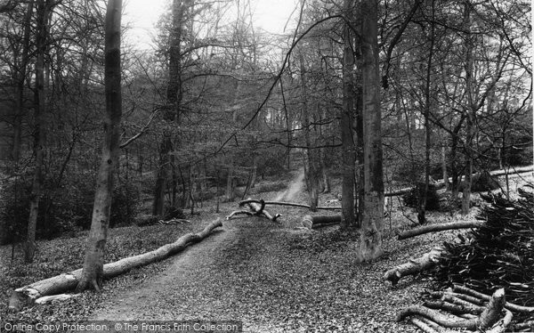 Photo of Wooburn, The Woods 1910