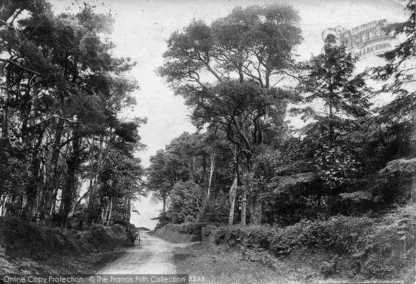 Photo of Woodbury, Castle 1906