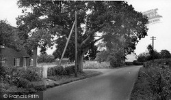 Crays Pond c.1955, Woodcote