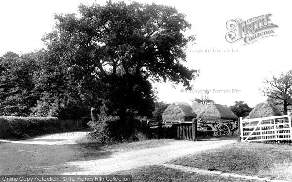 Photo of Woodford Green, Monkham Lane 1904