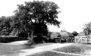 Monkham Lane 1904, Woodford Green