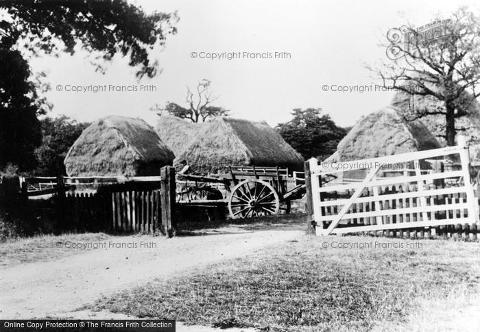 Photo of Woodford Green, Monkham Lane, Haystacks 1904