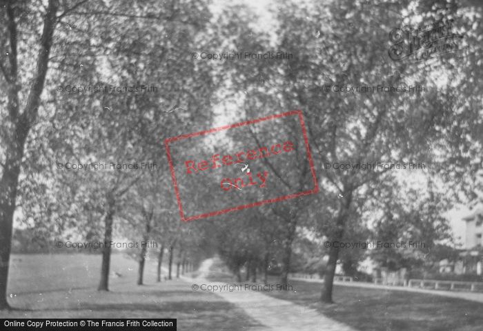 Photo of Woodford Green, The Avenue 1921