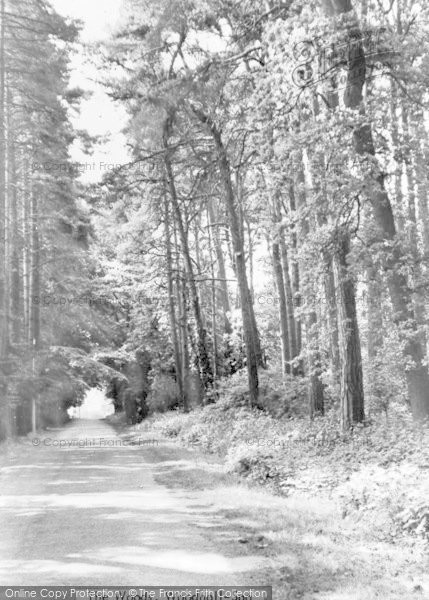 Photo of Woodhall Spa, The Woods c.1950