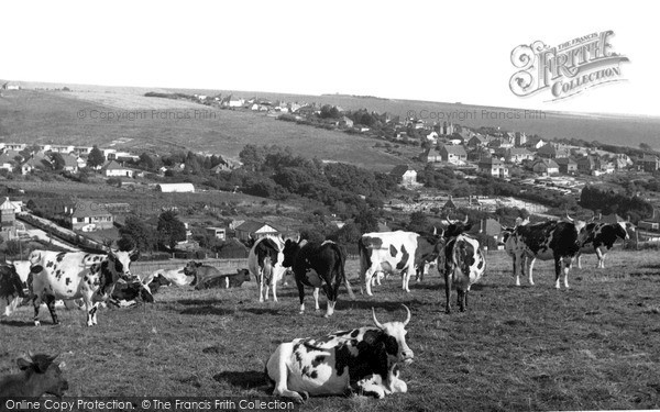 Photo of Woodingdean, The Downs c.1955