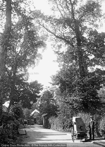 Photo of Woodmansterne, The Street c.1900