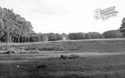 Blenheim Palace Grounds c.1950, Woodstock