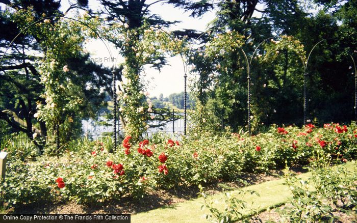 Photo of Woodstock, Blenheim Palace, The Rose Garden 1989