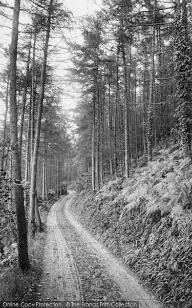 Photo of Woody Bay, In The Pines 1908