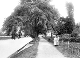 New Promenade 1923, Worcester