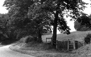 Wordsley, the Common c1955