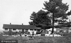 The South Hereford Fox Hounds c.1960, Wormelow