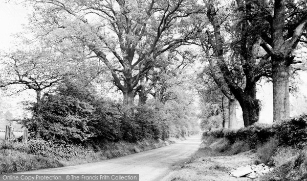 Wormley, Church Lane c1955 Photo of Wormley, Church Lane c.1955