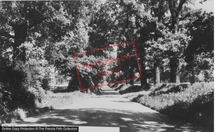 Photo of Wormley, Church Lane c.1955