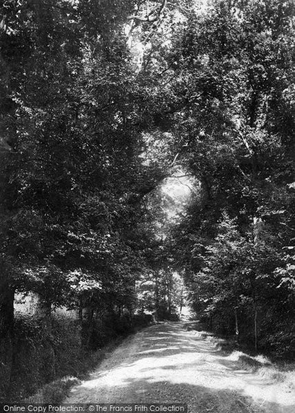 Photo of Worplesdon, Merrist Wood Lane 1904