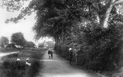 Village 1904, Worplesdon