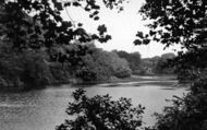 The Old Dam c.1950, Worsley
