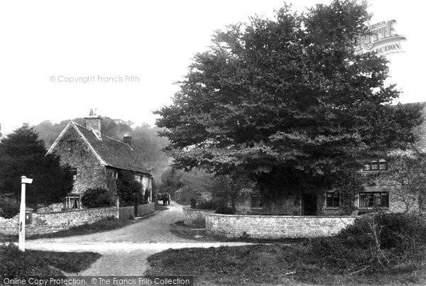 Photo of Wortley, 1904