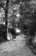Coast Hill 1906, Wotton