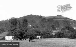 Wotton Hill 1900, Wotton-Under-Edge