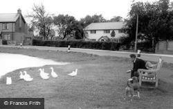 Feeding The Ducks c.1965, Wrea Green