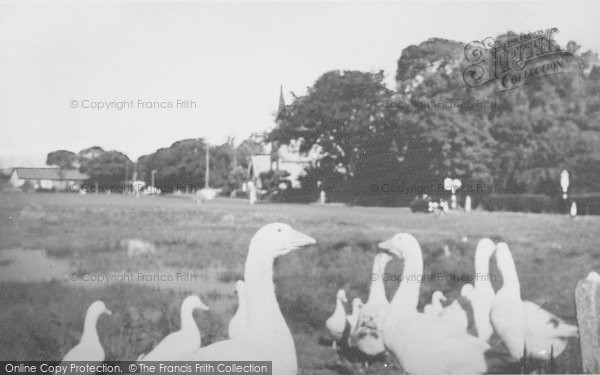 Photo of Wrea Green, Geese On The Green c.1965