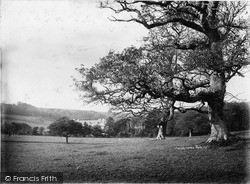 Appuldurcombe Park c.1880, Wroxall