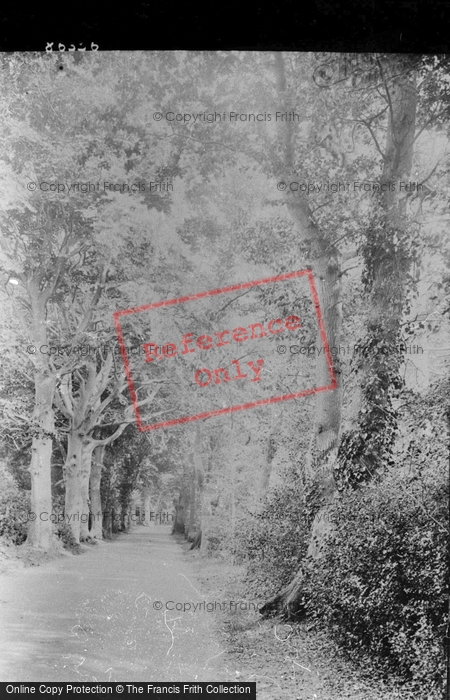 Photo of Wroxham, Beech Avenue 1934