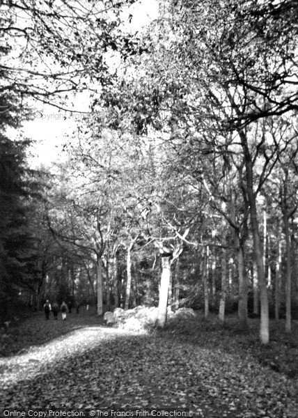 Photo of Wyre Forest, 2003