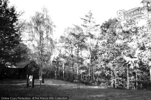 Photo of Wyre Forest, Hawkbatch Visitor Centre 2003