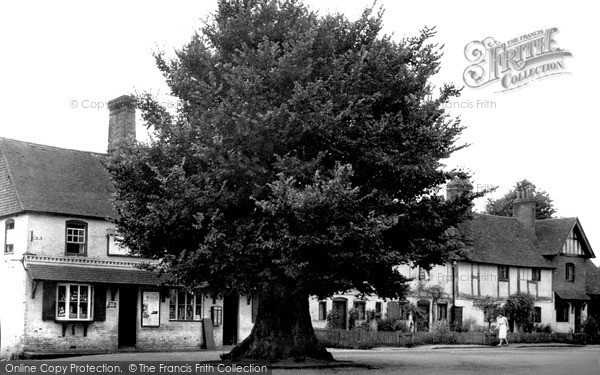 Photo of Yattendon, the Square and Old Elm Tree c1950