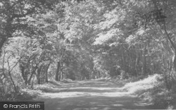 Yealand Woods c.1955, Yealand Conyers