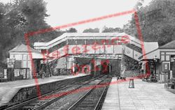 The Station Footbridge 1906, Yelverton