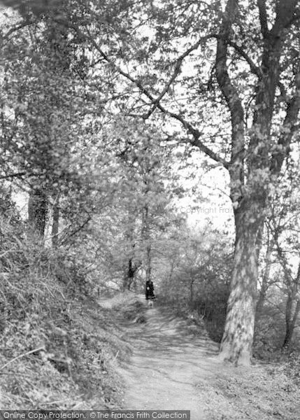 Photo of Yeovil, Pathway, Newtown Woods c.1955