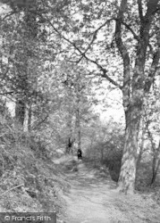 Pathway, Newtown Woods c.1955, Yeovil