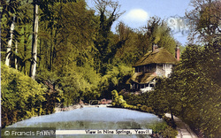 View In Nine Springs c.1955, Yeovil