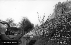 In Springtime c.1960, York